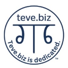 teve.biz logo as capital T with 6 hanging both sides as mirror image